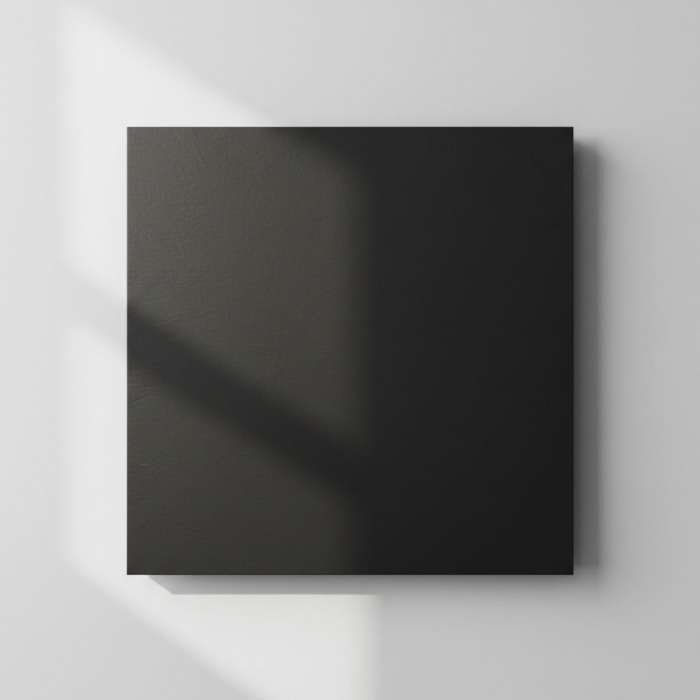 Капролон (Полиамид) ПА6 лист 500х500х3 (черный) - 0